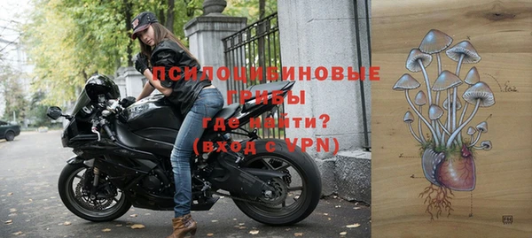 таблы Гусиноозёрск