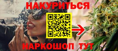 шишки Апшеронск