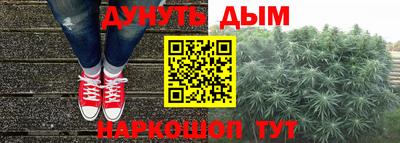 шишки Апшеронск
