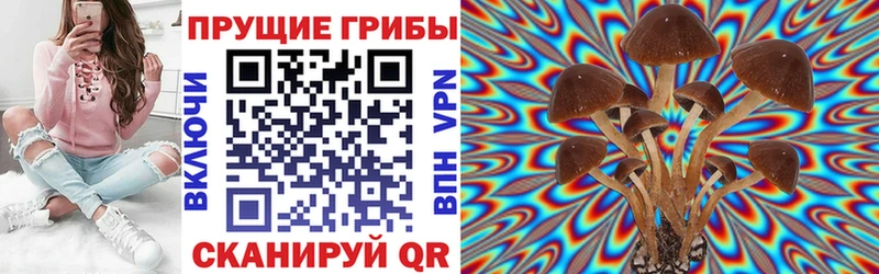 shop официальный сайт  Апрелевка  Псилоцибиновые грибы Psilocybine cubensis  хочу наркоту 