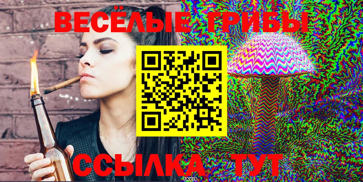 Апрелевка  Галлюциногенные грибы Psilocybine cubensis  Вход с VPN 