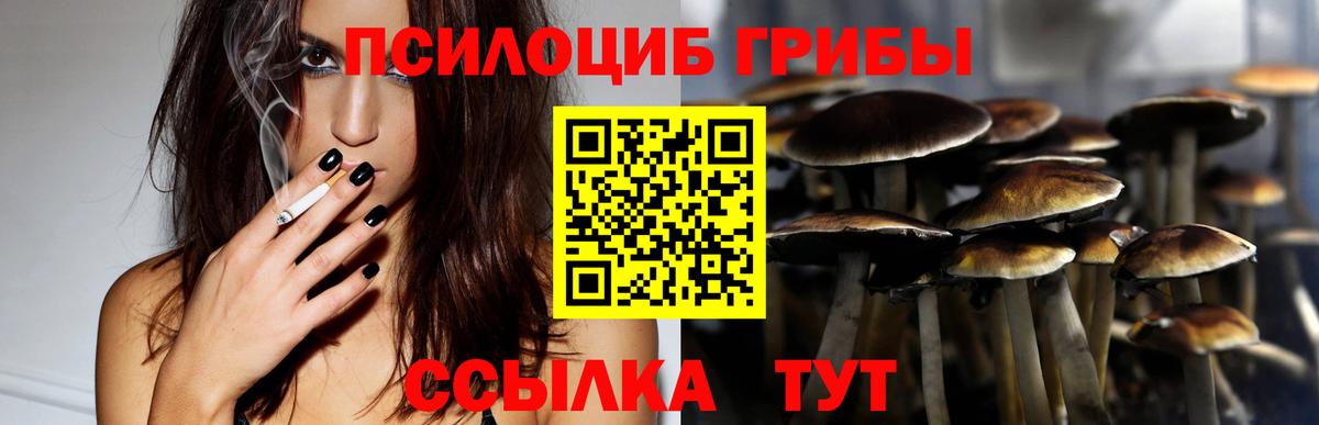 Галлюциногенные грибы прущие грибы Апрелевка